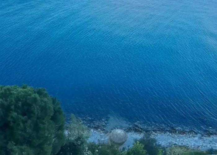 Linamare Iris * Kivérion